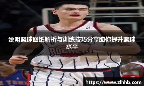 姚明篮球图纸解析与训练技巧分享助你提升篮球水平
